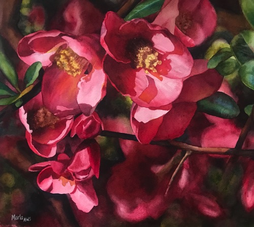 Quince
15" x 16"
