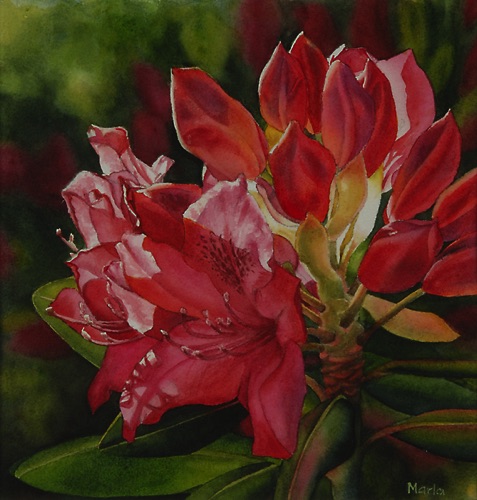 Rhodie II
17” x 16”
Private Collection